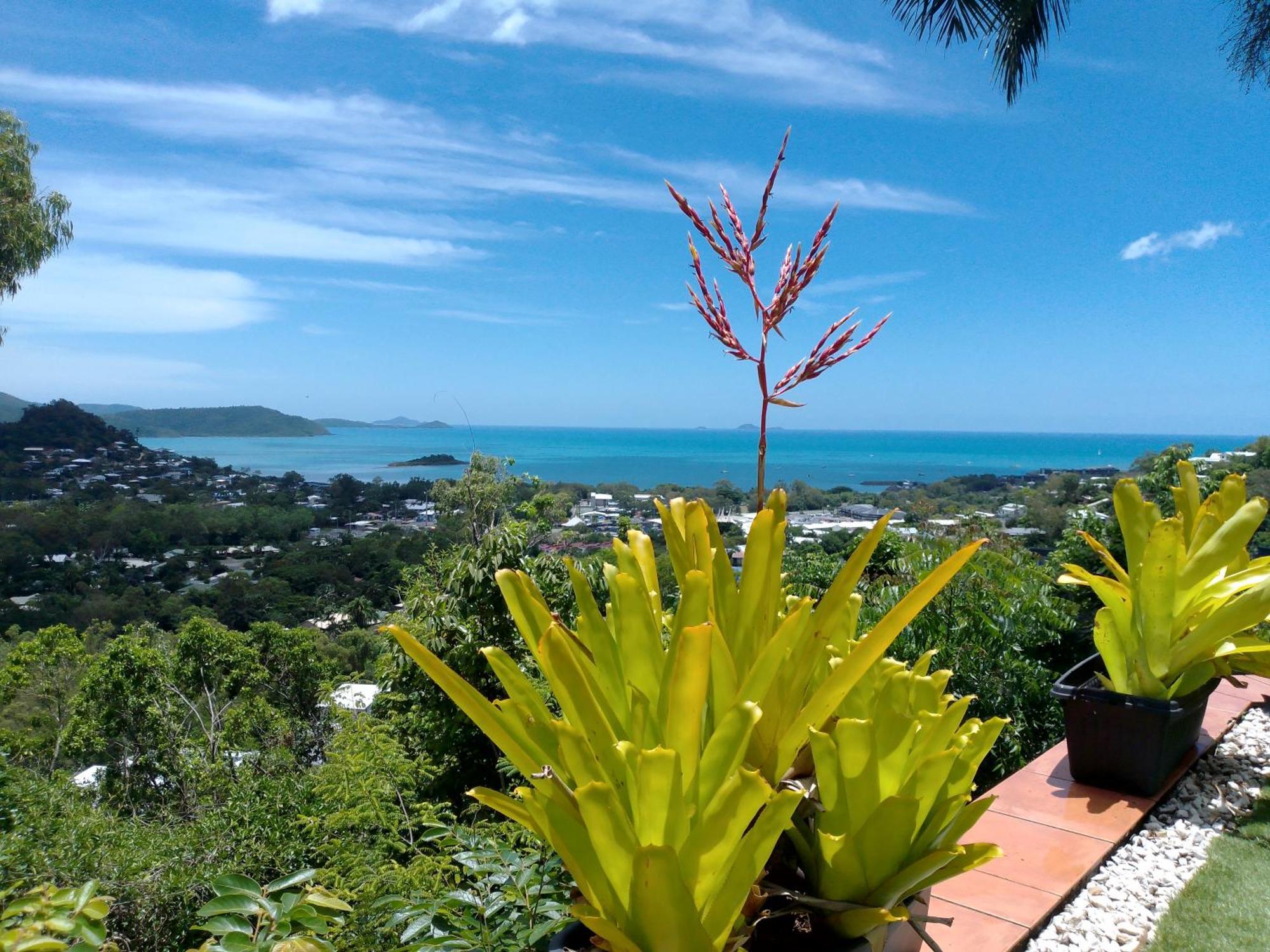 Yachtsmans Paradise, Whitsundays Hotel Еърли Бийч Екстериор снимка