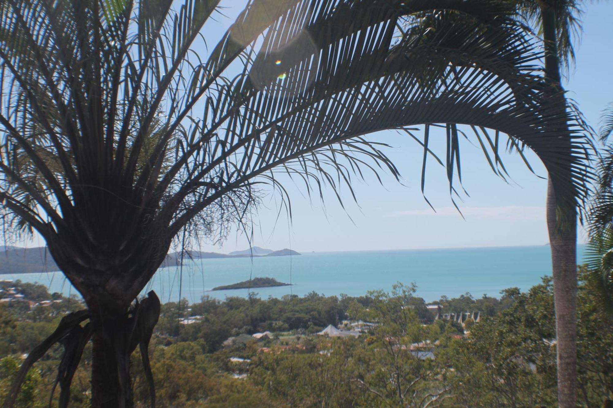 Yachtsmans Paradise, Whitsundays Hotel Еърли Бийч Стая снимка